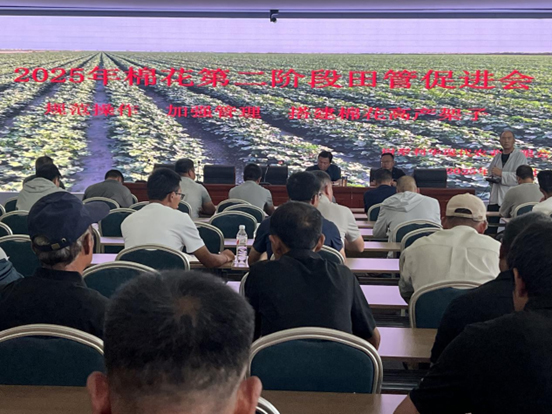 尉犁利華現(xiàn)代農(nóng)業(yè)有限公司召開(kāi)第二階段田管推進(jìn)會(huì) 田間觀(guān)摩強(qiáng)認(rèn)知 精準(zhǔn)施策固豐產(chǎn)根基